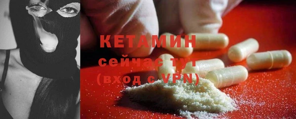 индика Богородск