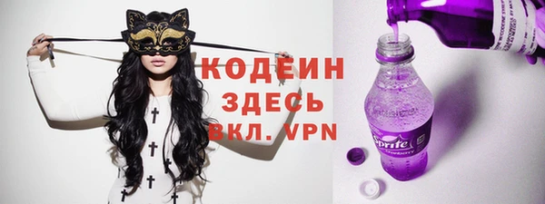 бошки Бородино