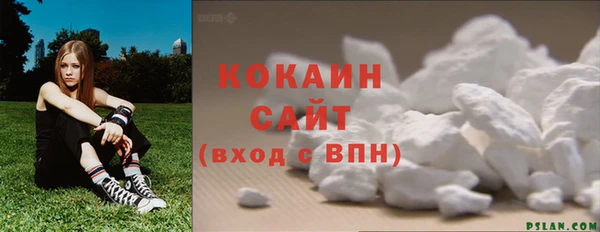 соль ск Богданович