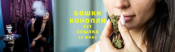 бошки Бородино