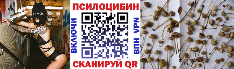 как найти Десногорск Галлюциногенные грибы прущие грибы